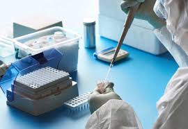 In fiecare zi, cele mai importante evenimente, transmisiuni live, analize, anchete si reportaje. È™efa Dsp Dolj ConfirmatÄƒ Covid 19 DupÄƒ Vaccinare Europa Fm