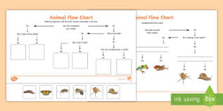 classification of animals other living things ks2 science