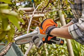 Obstbaumschnitt bei pfirsichbaum, nussbaum und weichsel: Der Richtige Obstbaumschnitt Wann Und Wie Stihl