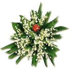 Photo coccinelles, coccinelle insecte, brin de muguet, muguet porte bonheur,. Photos De Muguet Avec Coccinelle Ladybug Lily Of The Valley Flower Banque D Image Et Photos Alamy