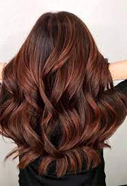 55 Auburn Hair Color Shades To Burn For Auburn Hair Dye Tips Glowsly Hair Color Auburn Dark Auburn Hair Color Hair Color Chart