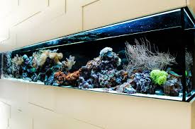 Pin By January On Home Decoration Design In 2020 Wall Aquarium Fish Tank Aquarium