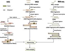 Applications Of Next Generation Sequencing In Systemic