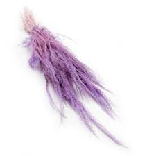 Image result for Agrostis products