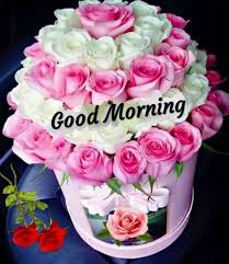 Morning is the best time to send texts to our friends.it is a gentle but very subtle reminder that we are thinking of them right at the beginning of the day. Pin By Alo Sarker On Aa Good Morning Good Morning Flowers Good Morning Roses Good Morning Msg
