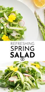Refreshing Spring Salad Recipe Spring Salad Recipes Spring Salad Healthy Salad Recipes