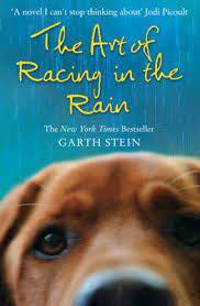 10 The Art Of Racing In The Rain Free Full Hd Movies Ideas Racing Hd Movies Rain