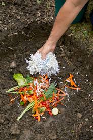 Which brown debris should you use? How To Compost Step By Step The New York Times