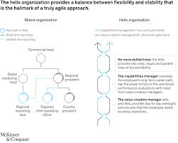 Consulting services proposal examples & templates. Beyond Matrix Organization The Helix Organization Mckinsey