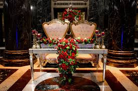 Image result for Bridelia duvigneaudii