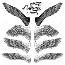 Maybe you would like to learn more about one of these? Alas De Angel Letras Vector De Dibujo Fotos Retratos Imagenes Y Fotografia De Archivo Libres De Derecho Image 73105870