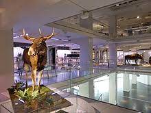 Durch das neue museum habe die stadt chemnitz einen kulturellen anker erhalten, sagte kunstministerin sabine von. Staatliches Museum Fur Archaologie Chemnitz Wikiwand