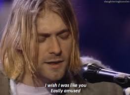 Image result for easily entertained meme