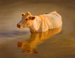 Insight Gallery Artist Teresa Elliott Title Charolais Pond Farm Art Animal Paintings Animal Art