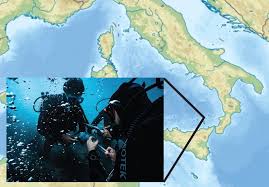 Image result for Conostomium zoutpansbergense