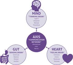Amare Global The Mental Wellness Company Official Website Amare Global In 2020 Mental Wellness Wellness Company Wellness Industry