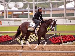 What Kind Of Pace Will We See In The Preakness