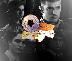 Harry Potter Photo The Champions Harry Potter Triwizard Tournament Harry Potter Wiki