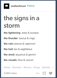 The Signs As Horoscope Meme Tells You Everything You Never Knew About Your Zodiac Sign Zodiac Signs Zodiac Signs Horoscope Zodiac Star Signs
