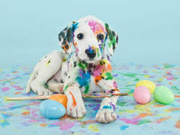 Ostern heißt für jeden etwas anderes. Facebook Lustige Und Susse Bilder