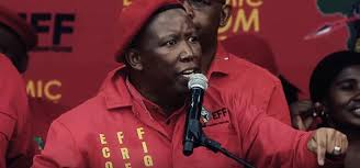 Malema was accompanied by eff members including. Nothing As Entertaining As Parliament Tv Drum
