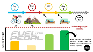 Image result for Carbohydrate Loading