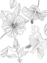 You can search several different ways, depending on what information you have available to enter in the site's search bar. New Skillshare Class Design An Adult Coloring Book Page On Your Ipad Liz Kohler Brown