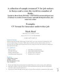 Professionally written and designed resume samples and resume examples. Doc A Collection Of Sample Resumes Cv For Job Seekers In Kenya And A Cross The World In A Number Of Fields Examples Cv Format For Insurance Underwriter Job Martin Otundo Richard