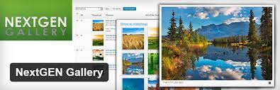 Searching for the best wordpress gallery plugins to create stylish image galleries (or maybe even video galleries)? 7 Of The Best Free Gallery Plugins For Wordpress Themetrust