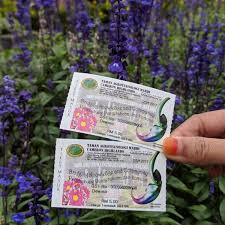 Taman agroteknologi mardi cameron highland. Taman Agroteknologi Mardi Cameron Highland Pahang