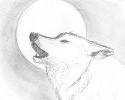 We did not find results for: Howling Wolf Easy Wolf Pencil Drawing Novocom Top