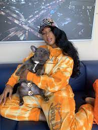 Pin On Megan Thee Stallion