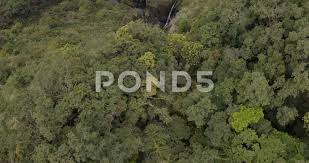 Aerial Birds Eye Above Taiwan Jungle Wilderness Woodland Waterfall Stock Footage Ad Taiwan Jungle Aerial Eye Birds Eye Aerial Waterscape