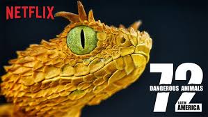 72 Dangerous Animals Latin America Dangerous Animals Animals Wild Animals Pictures