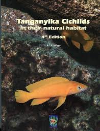 Image result for Tetradenia tanganyikae
