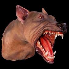 RABID DOG – Ghost Ride Productions INC.