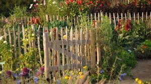 Das Foto Zeigt Den Wildwuchs In Einem Bauerngarten Mit Vielen Unterschiedlichen Blumen Und Pflanzen Pictu In 2020 Garten Bepflanzen Garten Pflanzen Englischer Garten