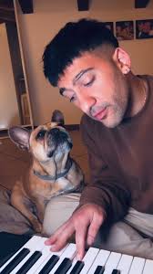 Lilac Tan Merle French Bulldog 💜 @thefrenchiepost #frenchie #frenchbulldog  #frenchbulldogs #frenchies #loveabully #thefrenchiepost #healthytreatz  #itsybitsyfrenchies #linnypoohs #liberatostile #ivyleash #bluefrenchbulldog  #microfrenchies ...