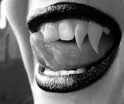 Pin On Vampires Patricia Cornwell