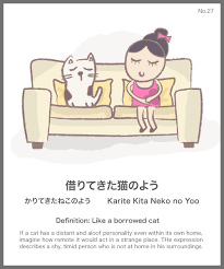 Pin By Christy On Languages Learning Japanese Japanese Language School Japanese Language Learning Japanese Phrases