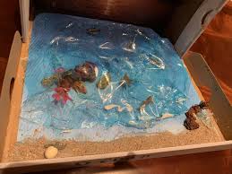 Biome In A Box Project Ocean Biome Shoebox Project Using Glue For Water Biomes Projects Shoe Box