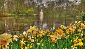 I wander'd lonely as a cloud that floats on high o'er vales and hills, when all at once i saw a crowd, a host of golden daffodils, beside the lake, beneath the trees A Reading Of I Wandered Lonely As A Cloud Daffodils By William Wordsworth Society Of Classical Poets