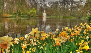 I wander'd lonely as a cloud that floats on high o'er vales and hills, when all at once i saw a crowd, a host of golden daffodils, beside the lake, beneath the trees A Reading Of I Wandered Lonely As A Cloud Daffodils By William Wordsworth Society Of Classical Poets
