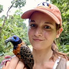 Dr Juan Carlos Illera