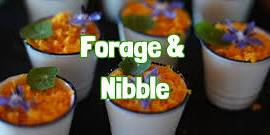 FORAGE & NIBBLE in Lymm (Cheshire)