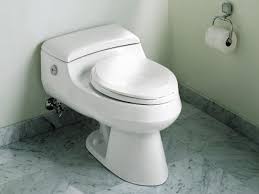 The toilet comes with an ada compliant technology. Water Saving Toilets That Won T Flush Away Your Money Hgtv