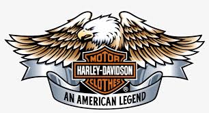 Image result for harley davidson wing