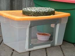 The Very Best Cats Feeding Outdoor Cats In The Winter Food Stations Cat Food Station Outdoor Cat Shelter Outdoor Cats