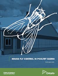 Control flies on the horse: House Fly Control In Poultry Barns Nutrient Management