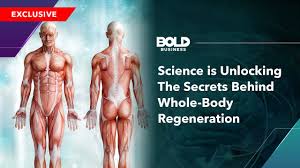 40 reviews of unlocking the body massage therapy i had a great experience including excellent customer service when setting the appointment, walking in the door, and during and after massage. Science Is Unlocking The Secrets Behind Whole Body Regeneration